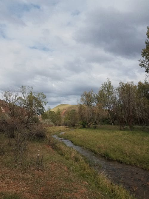 有关垂直拍摄, 小溪, 戶外的免费素材图片