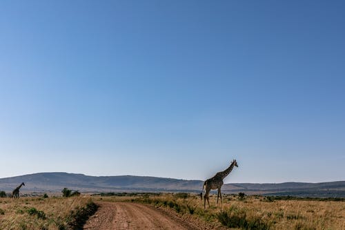 有关冒險, 斑點, 景觀的免费素材图片