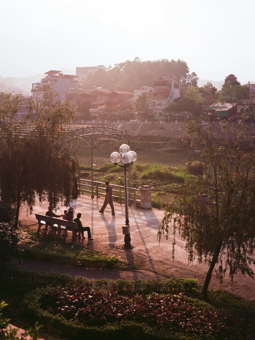 有关垂直拍摄, 樹木, 步行的免费素材图片