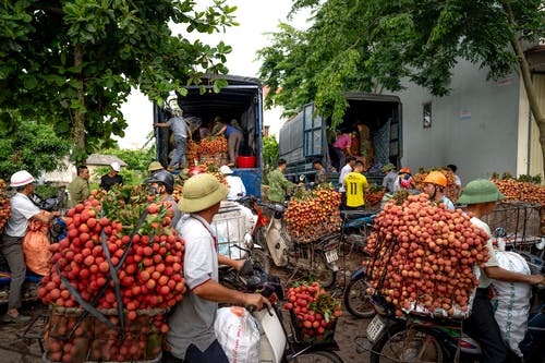 有关供應商, 卡車, 商家的免费素材图片