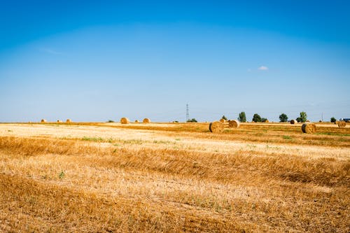 有关下田, 乾的, 匈牙利的免费素材图片