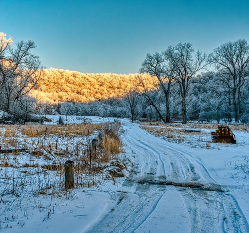 有关冬季景觀, 冷, 凍結的的免费素材图片