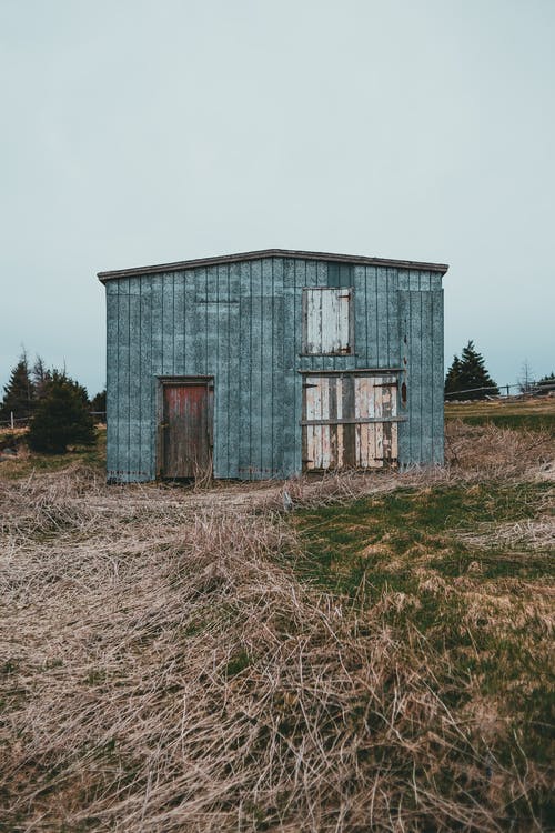 有关乾燥, 乾的, 入口的免费素材图片