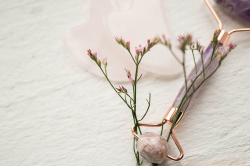 有关化妆辊, 摩天輪, 植物群的免费素材图片