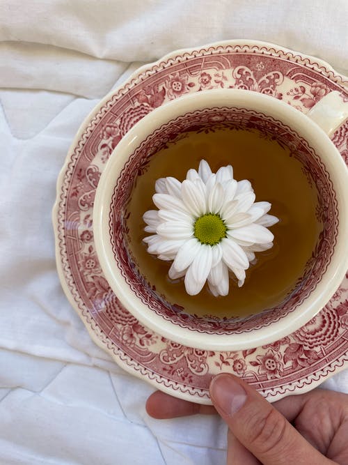 有关一杯茶, 喝, 垂直拍摄的免费素材图片