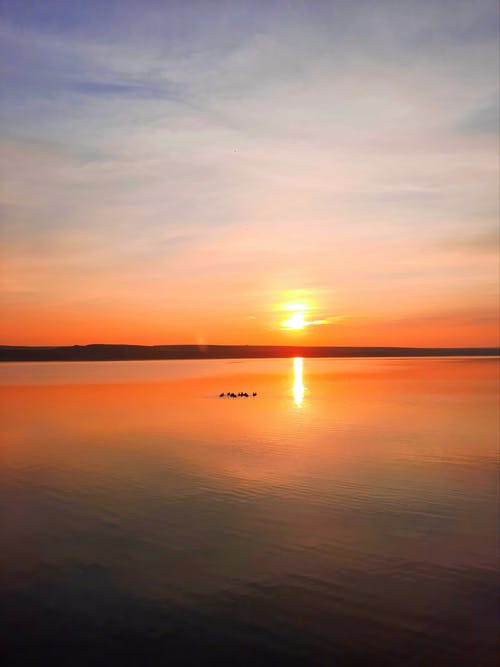 有关垂直的, 天性, 天空的免费素材图片