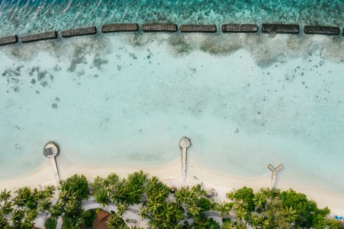 有关假期, 天堂, 天性的免费素材图片