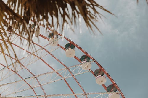 有关不亦樂乎, 主題公園, 嘉年華的免费素材图片