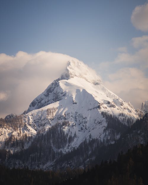 有关垂直的, 大雪覆盖, 天性的免费素材图片