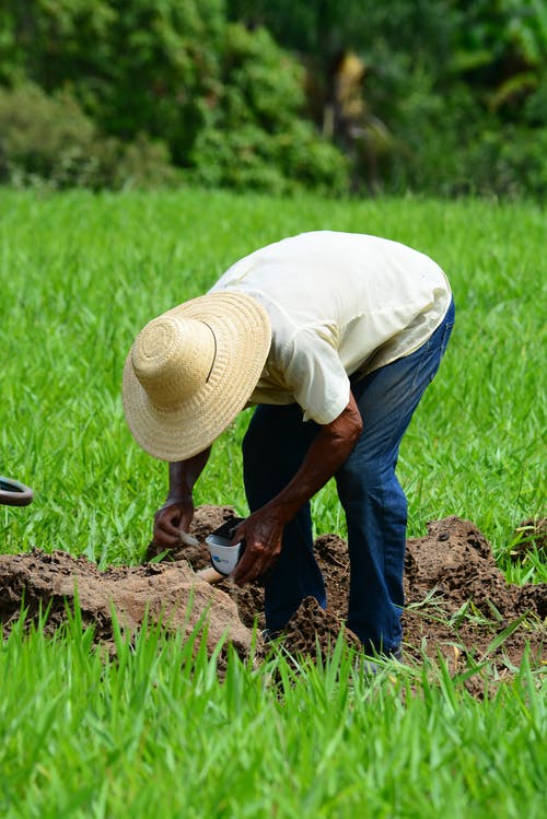 有关下田, 人, 土的免费素材图片