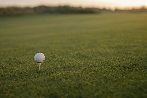在绿草如茵的球场上的白色高尔夫球 · 免费素材图片