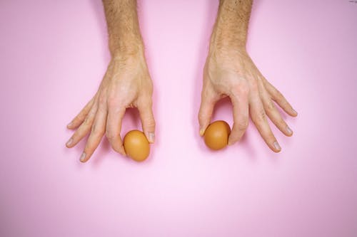 有关復活節, 手, 握住的免费素材图片