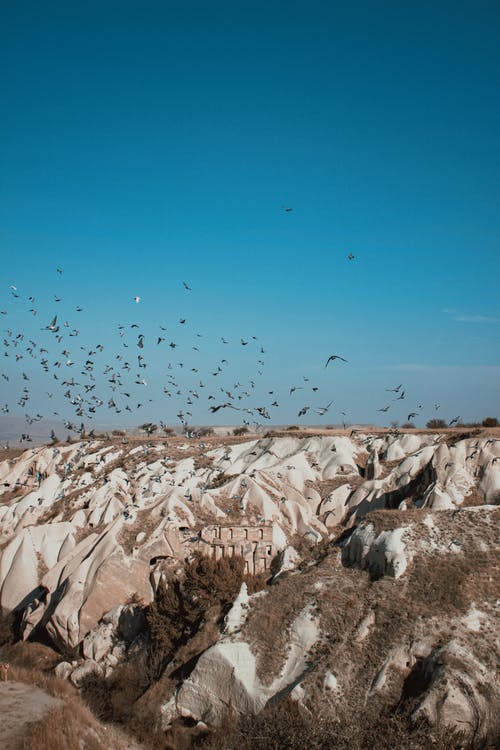 有关垂直拍摄, 天性, 天空的免费素材图片