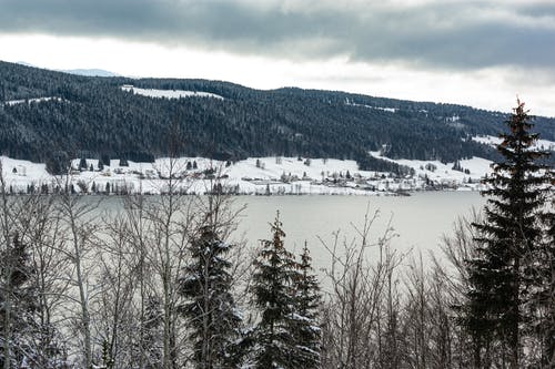 有关下雪的, 冬季, 天性的免费素材图片