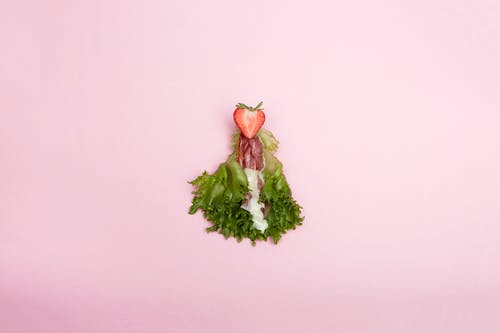 粉红色的背景上的绿色和白色植物 · 免费素材图片
