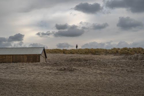 有关人, 戶外, 砂的免费素材图片