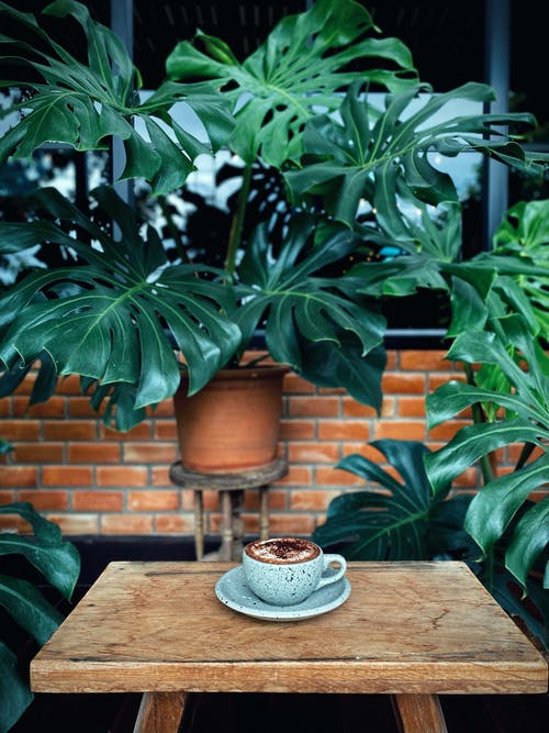 有关可口, 可口的, 咖啡的免费素材图片