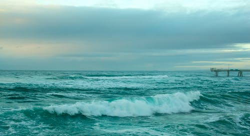 有关地平線, 天性, 招手的免费素材图片