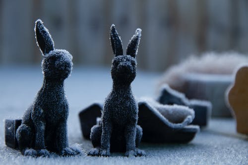 有关兔子, 冷冰的, 可愛的免费素材图片