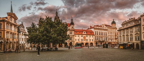 绿叶树被建筑物包围 · 免费素材图片