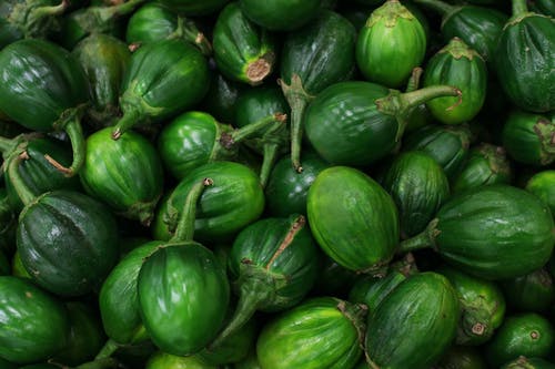 有关吉洛, 收成, 新鮮的免费素材图片