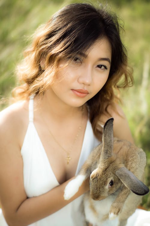 有关兔子, 動物, 垂直拍摄的免费素材图片