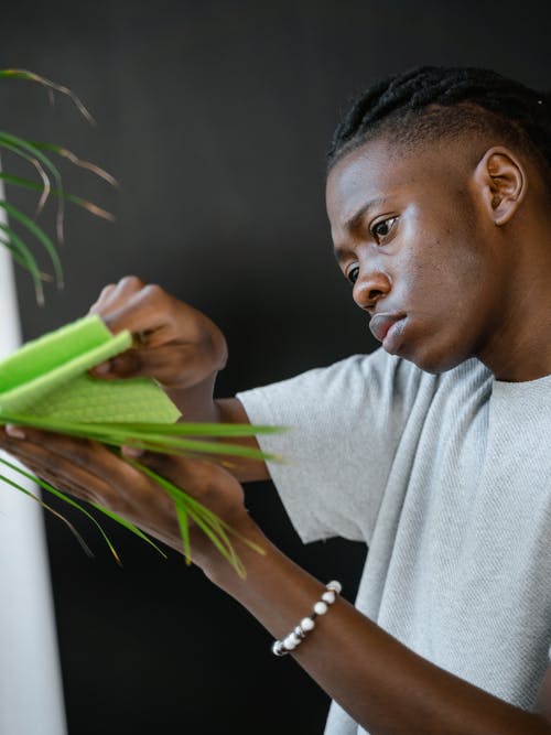 有关國內, 家務, 家庭的免费素材图片