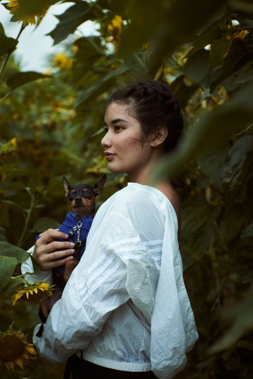 有关側面圖, 向日葵, 垂直拍摄的免费素材图片