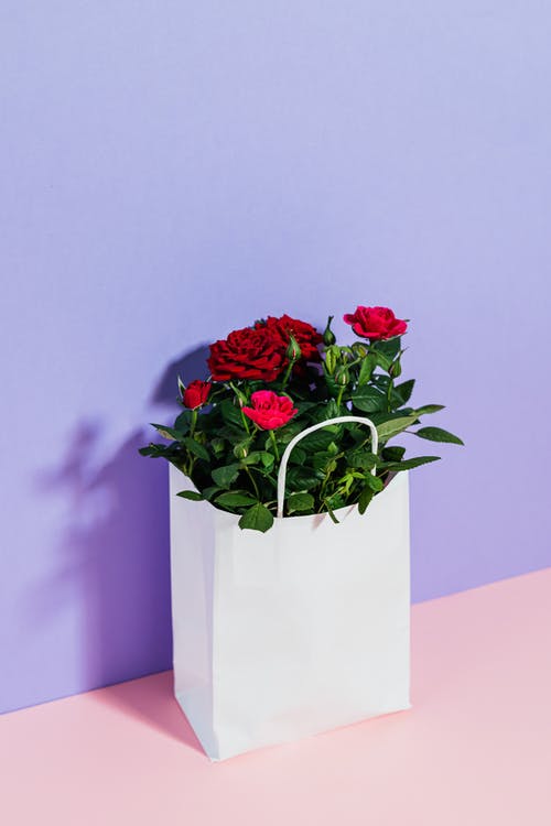 有关一串, 柔和的背景, 樣機的免费素材图片