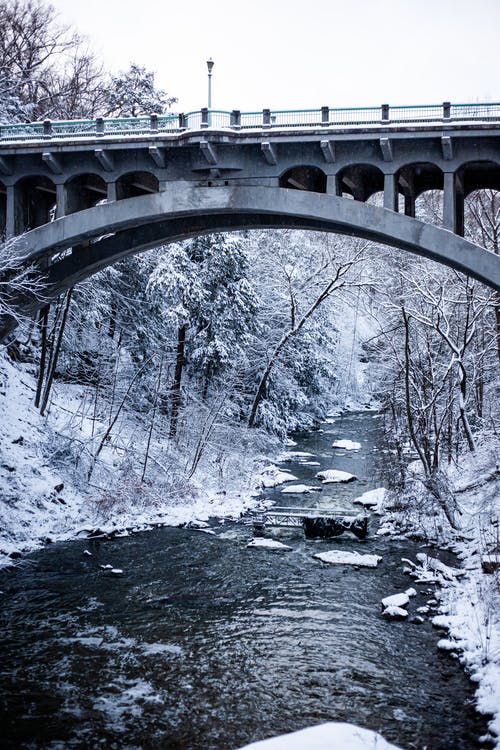 有关冬季, 圣诞节背景, 垂直拍摄的免费素材图片
