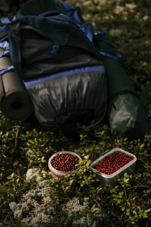 有关地面, 垂直拍摄, 塑料的免费素材图片
