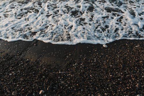 有关天性, 岸邊, 戶外的免费素材图片