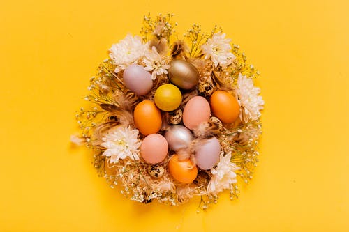 有关復活節彩蛋, 花, 裝飾的免费素材图片