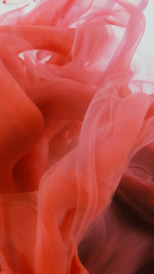 白色塑料容器上的粉红色塑料玩具 · 免费素材图片
