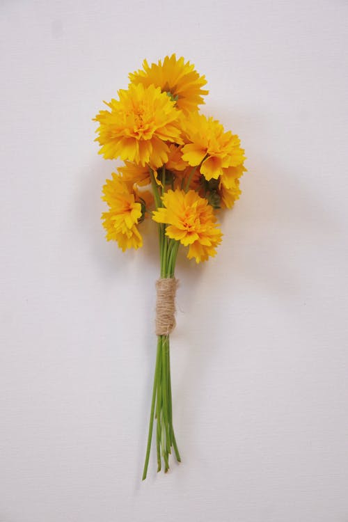 有关一串, 垂直拍摄, 微妙的免费素材图片