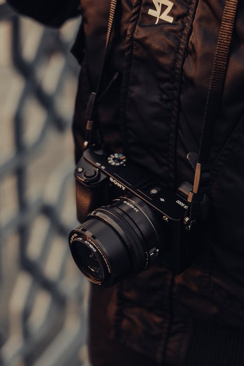 有关垂直拍摄, 掛, 景深的免费素材图片