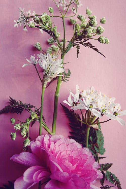 有关垂直拍摄, 插花, 春天的花朵的免费素材图片