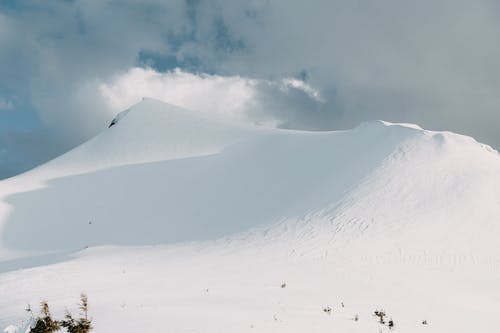 有关冬季, 大雪覆盖, 天性的免费素材图片