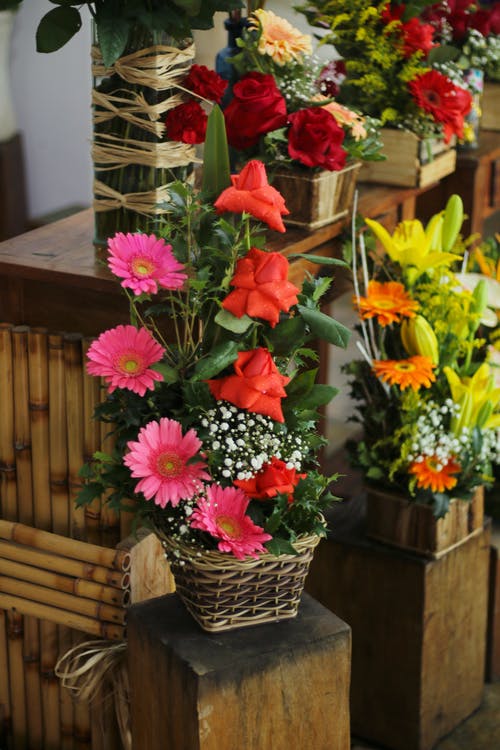 有关arranjo花香, 一串, 什錦的的免费素材图片