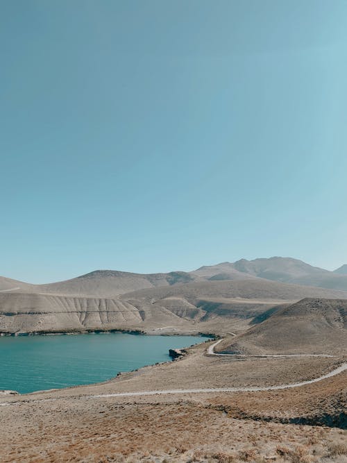 有关乾旱, 垂直拍摄, 天性的免费素材图片