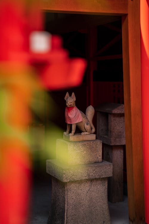 有关動物, 博物館, 垂直拍摄的免费素材图片