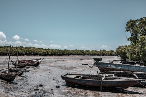 有关乾旱, 放棄, 没用过的免费素材图片