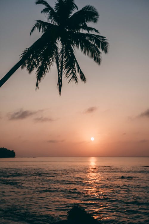 有关mentawai冲浪胜地, 冲浪天堂, 地平線的免费素材图片