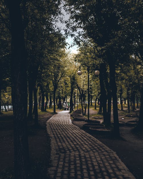 有关人行道, 公園, 垂直拍摄的免费素材图片