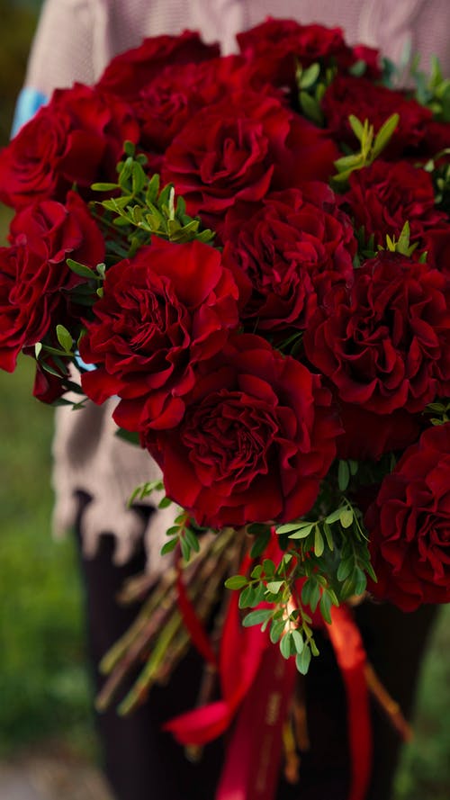 有关垂直拍摄, 微距攝影, 植物群的免费素材图片