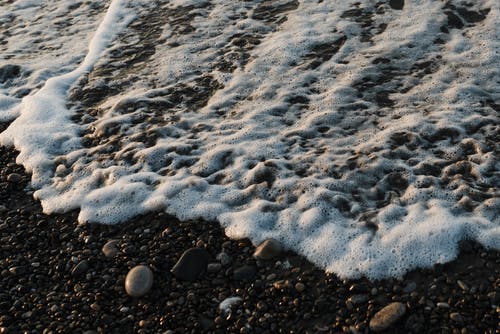 有关天性, 岸邊, 戶外的免费素材图片