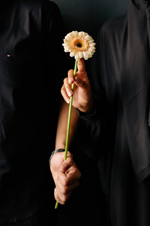 有关垂直拍摄, 手, 握住的免费素材图片