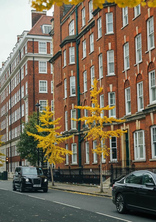 有关倫敦, 垂直拍摄, 城市的免费素材图片