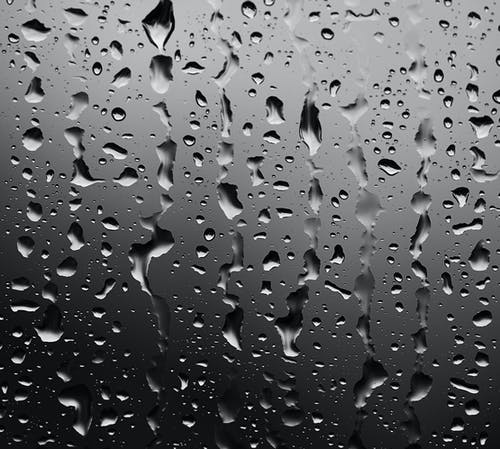 有关單色, 水珠, 黑與白的免费素材图片