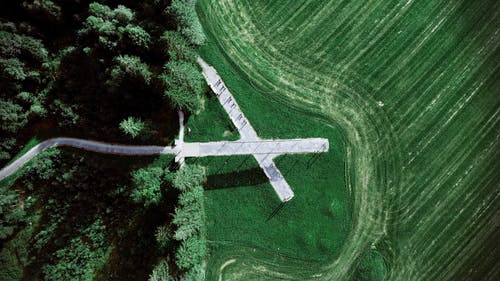 有关十字架, 樹木, 灰的免费素材图片